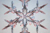 Picture for song 'Natural Beauty-A Journey Thru The Different Winds' by artist 'SlaveNewWorld'