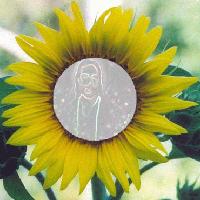 Picture for song 'Son Shine' by artist 'Slayer Sound Productionz'