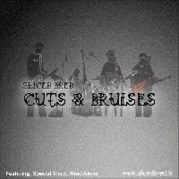 Picture for song 'Cuts & Bruises' by artist 'Sliced bred'