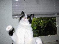 Picture for song '2 B Free With U' by artist 'SlIpPeRyStAr'