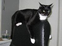 Picture for song 'If You Know' by artist 'SlIpPeRyStAr'