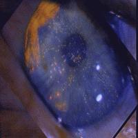 Picture for song 'You Are' by artist 'Slippy T'