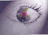 Picture for song 'Memories of Why' by artist 'Sly Jester'