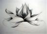 Picture for song 'Pictures' by artist 'Sly Jester'