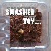 Picture for song 'EnSlaved Cricket' by artist 'Smashed Toy'