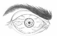 Picture for song 'Don't Gimmie That' by artist 's m it h s g r o v e'