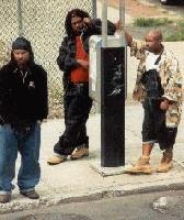 Picture for song 'Sanitary' by artist 'Smoked Out Society'