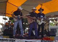 Picture for song 'Diana' by artist 'Smokin Gunz Band'