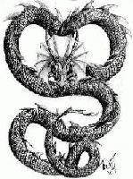 Picture for song 'Twin Snakes' by artist 'Snake Works'