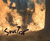 Picture for song 'One man crew diss' by artist 'snatch entertainment'
