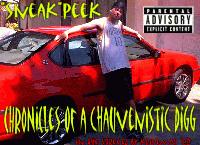 Picture for song '"SiK oF bEiN LoNeLy"' by artist 'sneak'