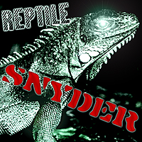Picture for song 'Reptile' by artist 'Snyder'