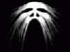 Picture for song 'Speed Scream' by artist 'Social Entropy'