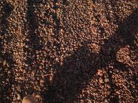 Picture for song 'have you ever' by artist 'sociopaths'