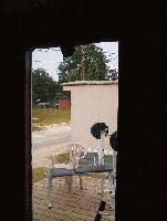 Picture for song 'the porch' by artist 'sociopaths'