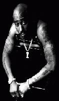 Picture for song 'Thug Bloodline' by artist 'So Fresh Entertainment'