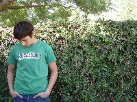 Picture for song 'In Bloom' by artist 'Soggy Muffin'