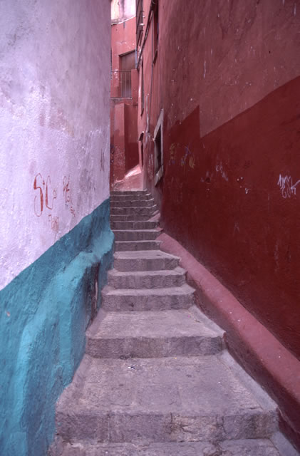 Picture for song 'narrow' by artist 'Solid Oak'