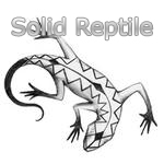 Picture for song 'battle mode activated' by artist 'Solid Reptile'