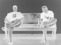 Picture for song 'White Roses' by artist 'Some Violent Ends'