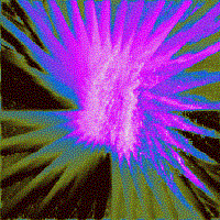 Picture for song 'Crystal's Eyes' by artist 'Songs by David Van Camp'