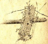 Picture for song 'Oh! Colleen (The Best I've Ever Seen)' by artist 'Songs by David Van Camp'