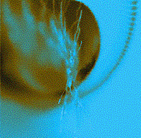 Picture for song 'Reflections' by artist 'Songs by David Van Camp'