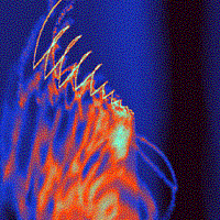 Picture for song 'Tears in the Wind' by artist 'Songs by David Van Camp'