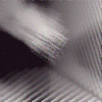 Picture for song 'underneath the stars' by artist 'Songs by David Van Camp'