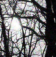 Picture for song 'Wicked Ways' by artist 'Songs by David Van Camp'