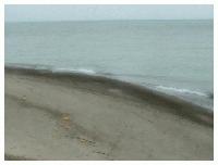 Picture for song 'Fruit' by artist 'Sonny Baker'