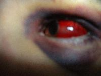 Picture for song 'Life' by artist 'sonofclown'