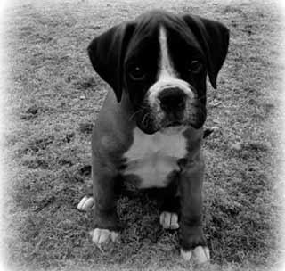 Picture for song '"Never Ending" - Sön & Claydermädchen' by artist 'Son of Cowboy-Laila'