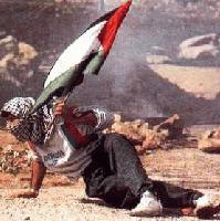 Picture for song 'free palestine' by artist 'son of nun'