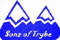 Picture for song 'I'll See You on the Other Side' by artist 'Sonz of Trybe'