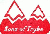 Picture for song 'Living the Life' by artist 'Sonz of Trybe'