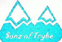 Picture for song 'Make that Change' by artist 'Sonz of Trybe'