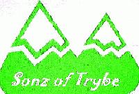 Picture for song 'Never Ever Give Up' by artist 'Sonz of Trybe'