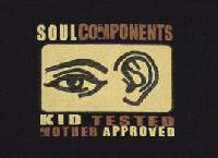 Picture for song 'beatsweepers' by artist 'Soul Components'