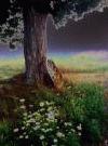 Picture for song 'Dreaming' by artist 'Soul Dust'
