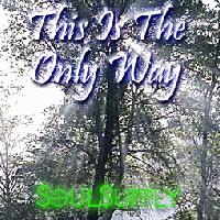 Picture for song 'This Is The Only Way' by artist 'SoulSupply'