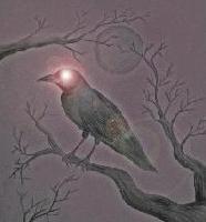 Picture for song 'Dark Star (metal mix)' by artist 'SoulTaroT'