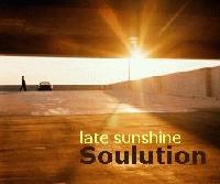 Picture for song 'What I Mean' by artist 'Soulution'