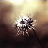 Picture for song 'when finger and palm was all' by artist 'soulwhirlingsomewhere'
