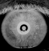 Picture for song 'Arcinan' by artist 'Sound Dialecct'