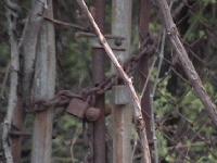 Picture for song 'Shine' by artist 'Soundpropeller'