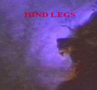 Picture for song 'Hind Legs (The Beast)' by artist 'Soundscapes Studio Productions'