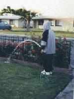 Picture for song 'Round 2- Light Saber Vs. Priceless' by artist 'Sound Species'