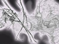 Picture for song 'SMOKE (2004 edit)' by artist 'sourmonkey'