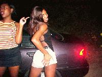 Picture for song 'Ya'll Go Down' by artist 'Southern Coalition'